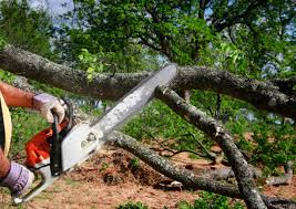 Lawn Grading and Leveling in Forrest, IL